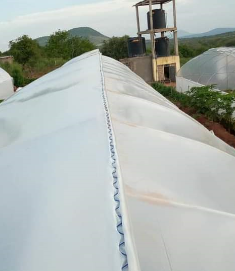 Greenhouse setup at Salama, Mombasa Road by Femart Greenhouse & Irrigation Kenya