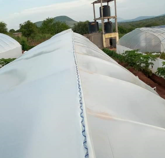 Greenhouse setup at Salama, Mombasa Road by Femart Greenhouse & Irrigation Kenya